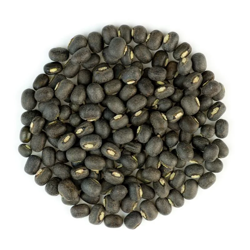 Black Lentils