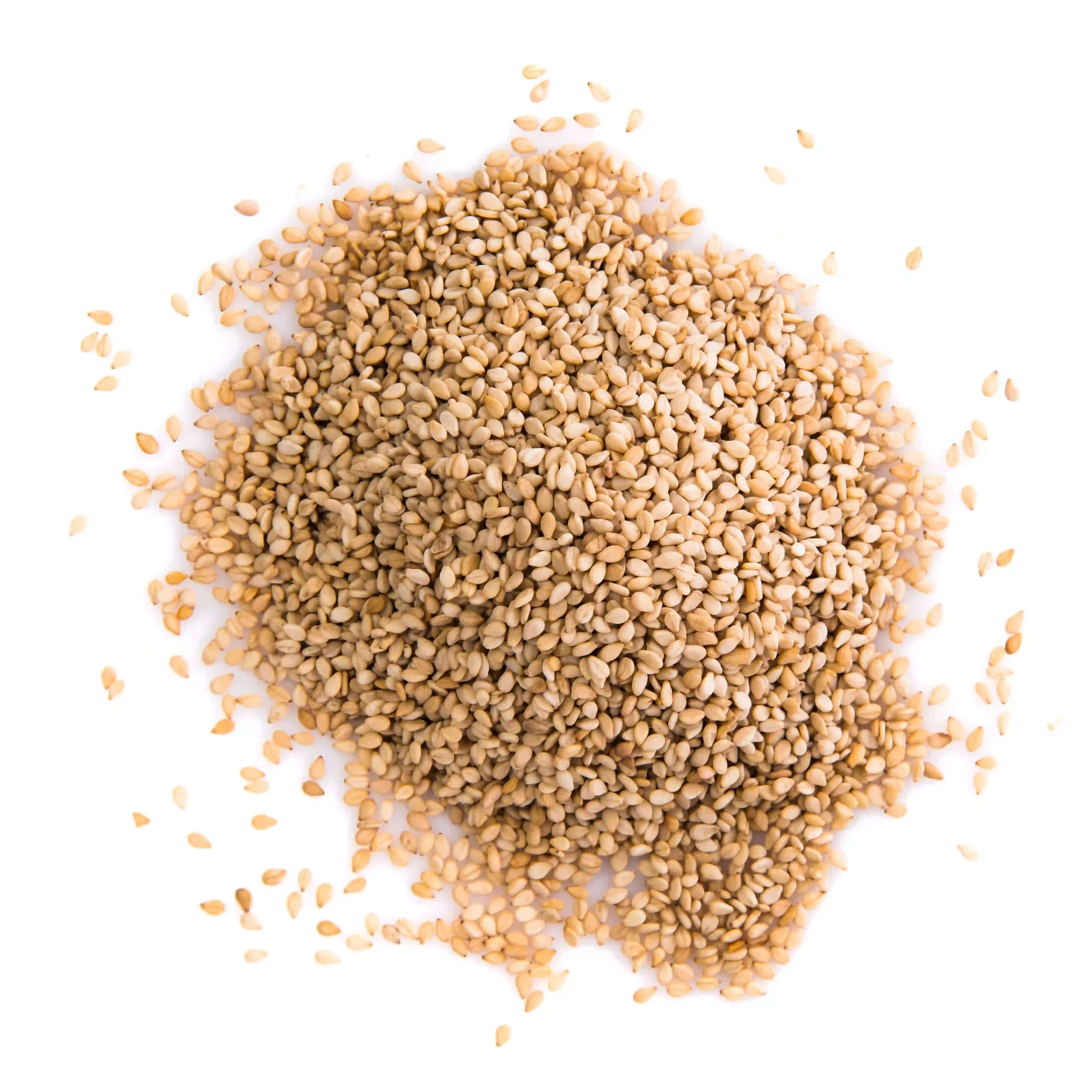 Sesame