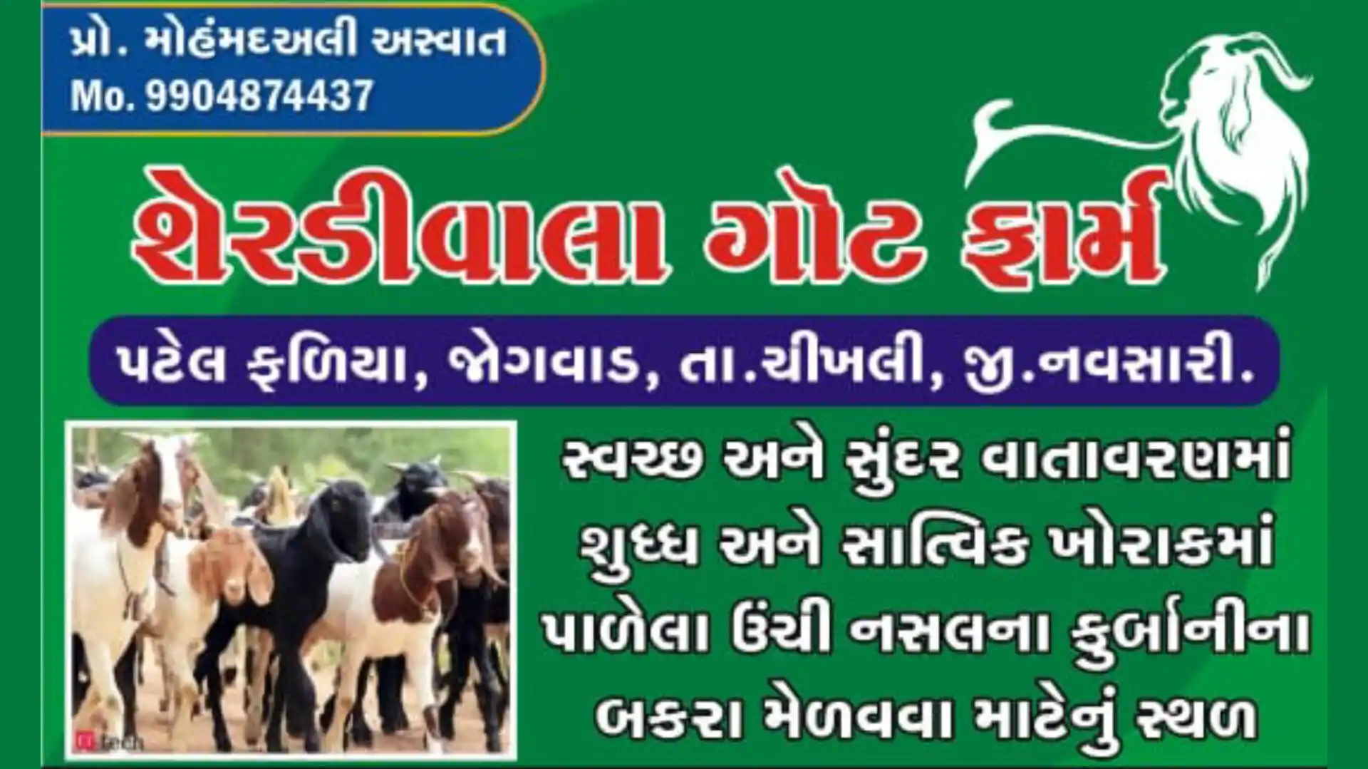 The Story of Sherdiwala (Aswat) Goat Farm of Jogwad